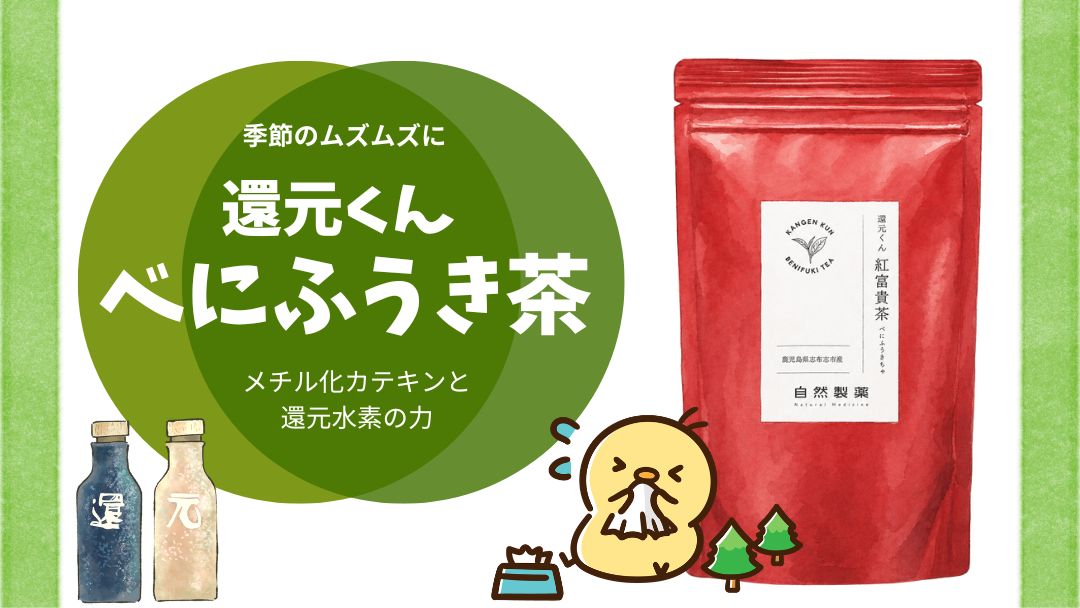 還元くんべにふうき茶とは？花粉の季節に選びたい理由と飲み方・淹れ方